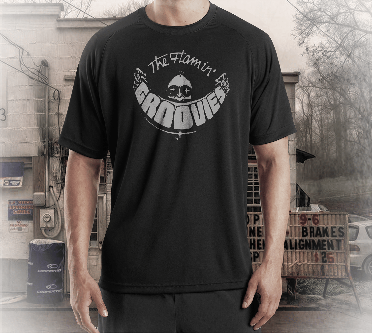 Flamin groovies t shirt shop